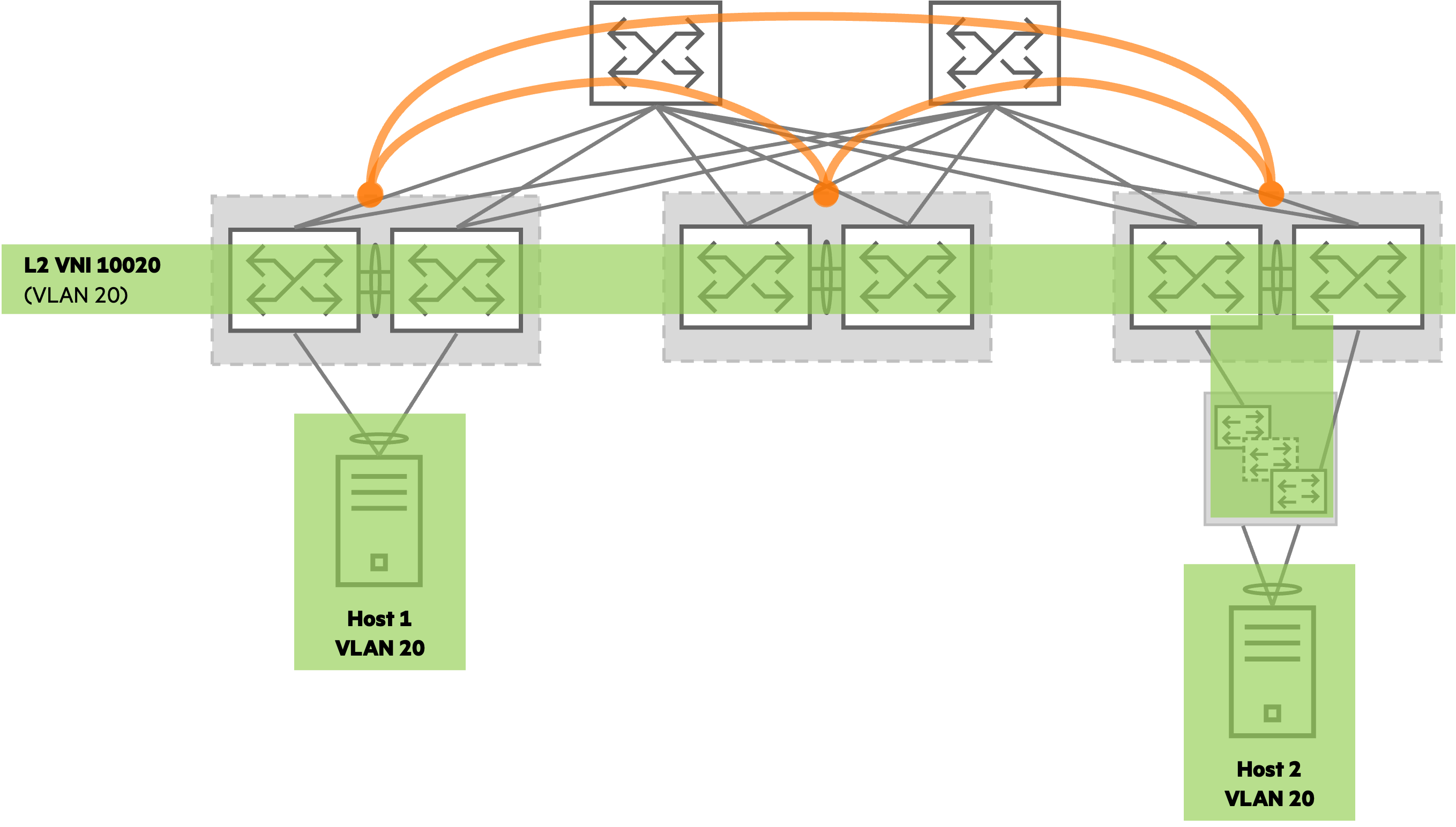 **Server Access VLAN Extension**