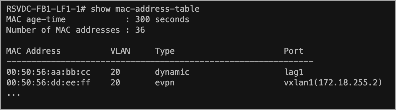 **MAC address table with VXLAN target**