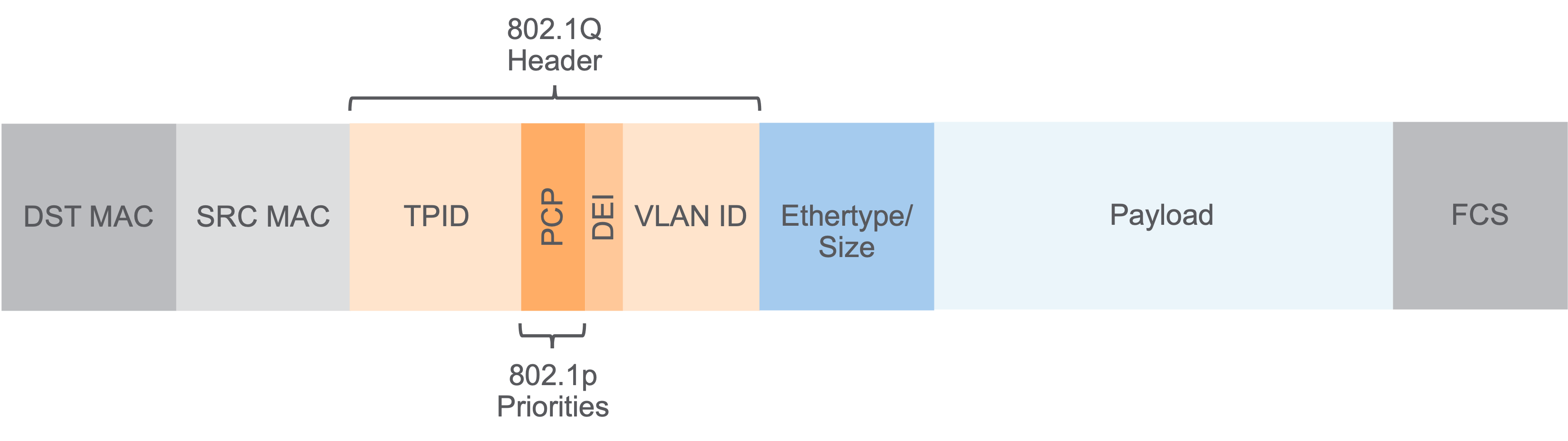 **802.1Q Header Diagram in Ethernet Frame**