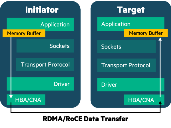 **RoCE Data Transfer**