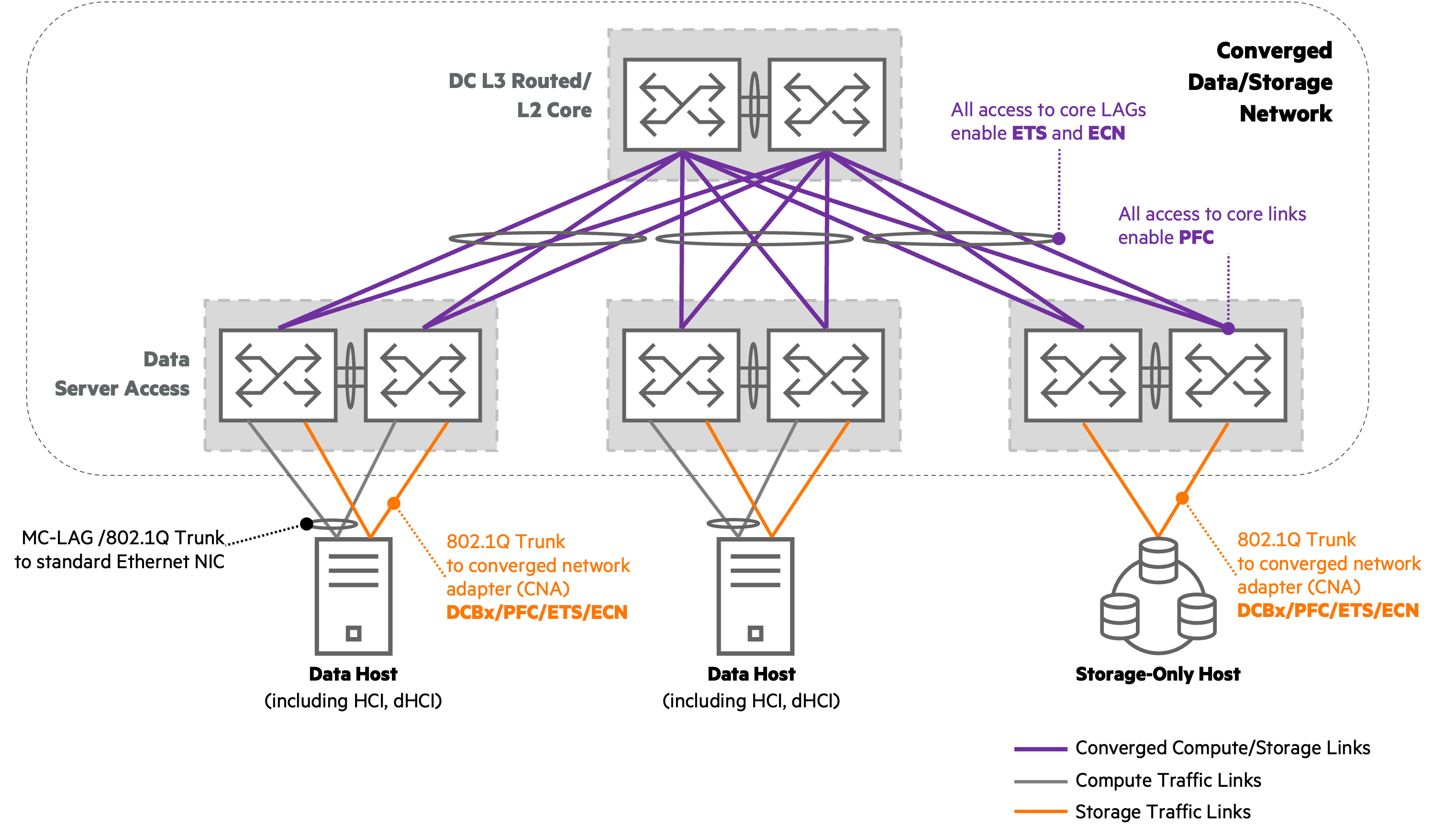**Parallel Storage Network**